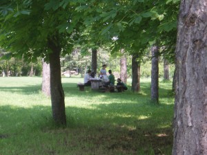 Picnic on the grounds
